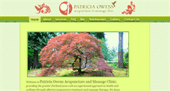 Desktop Screenshot of patriciaowensacupuncture.com